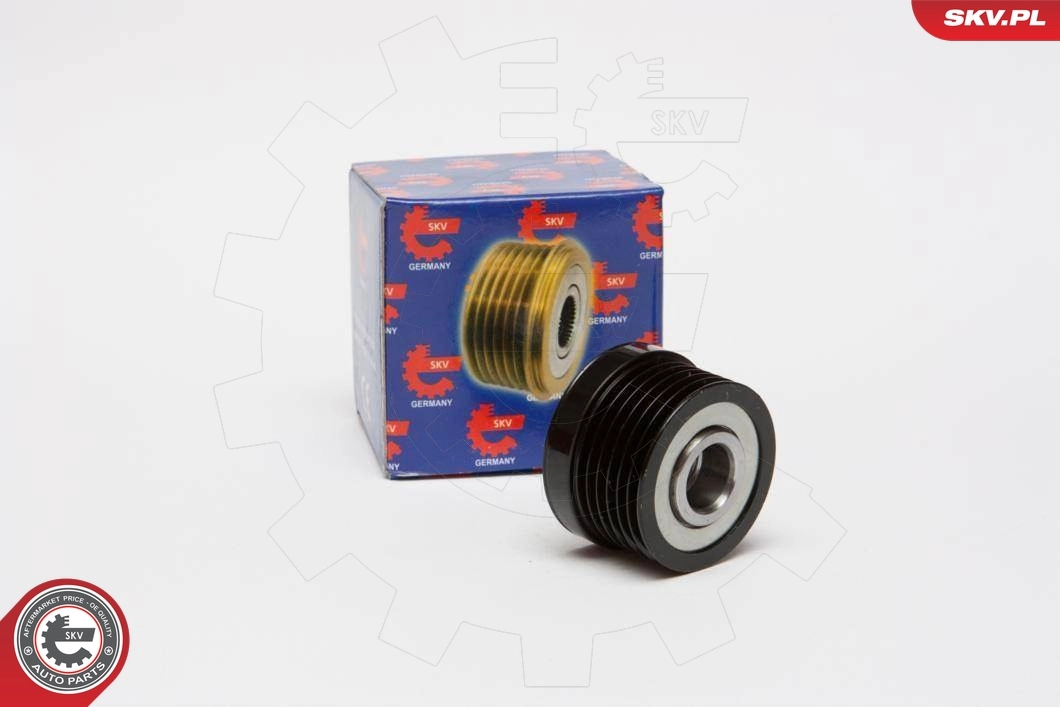 Alternator Freewheel Clutch